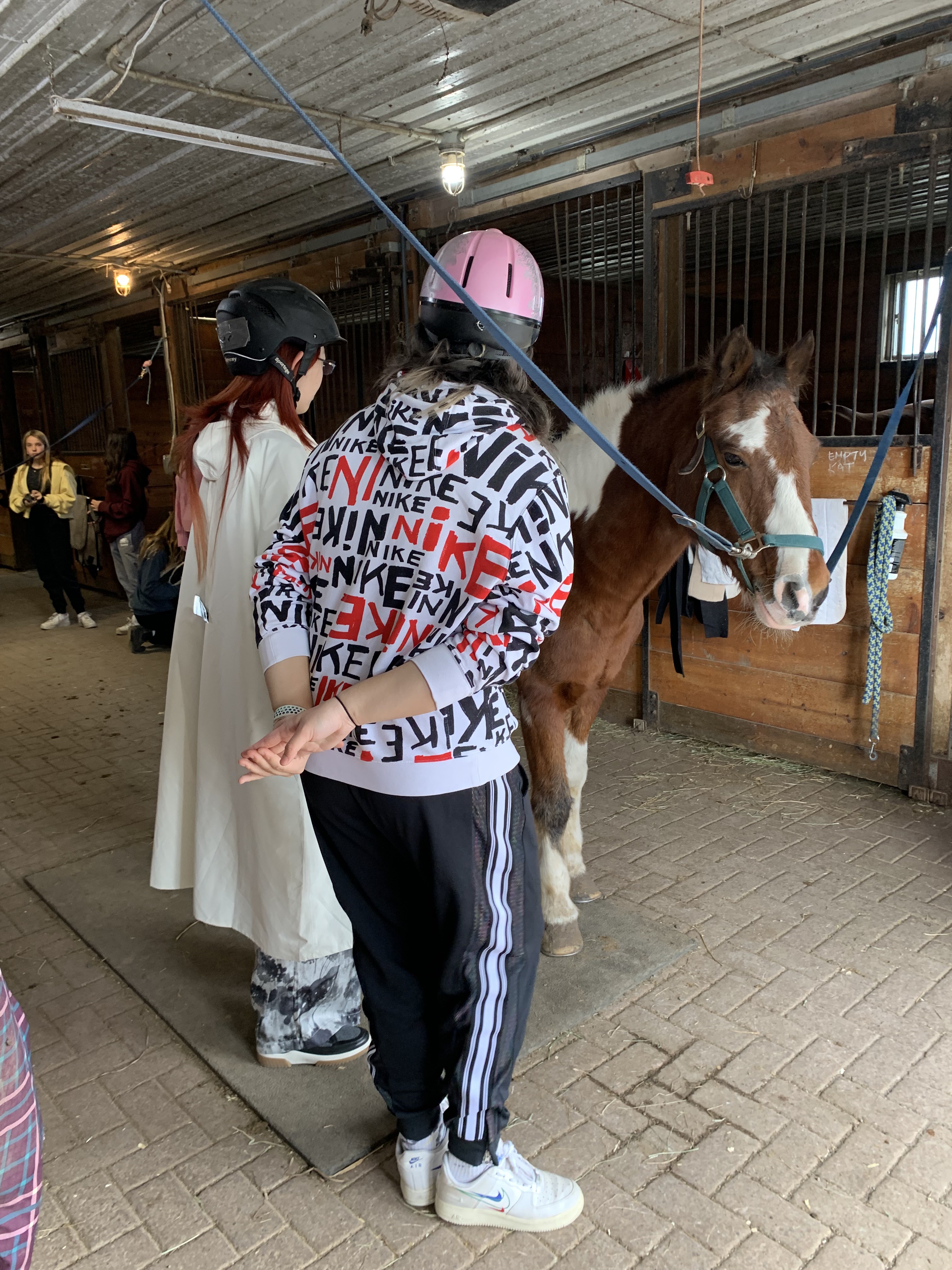 Horse Riding — photo 4